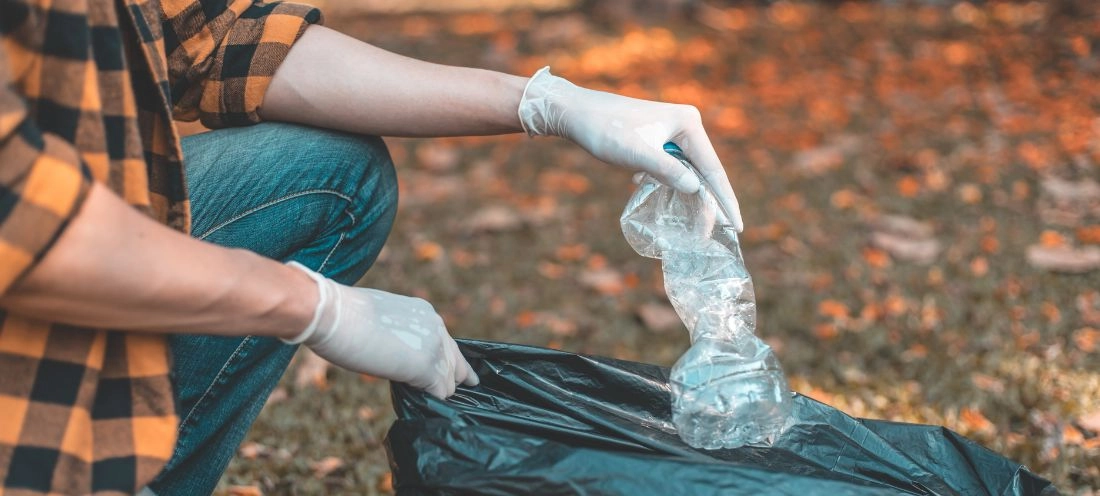 Écologie et durabilité dans votre camping écologique : Un engagement envers l'environnement